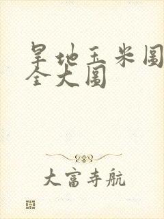 旱地玉米图片大全大图