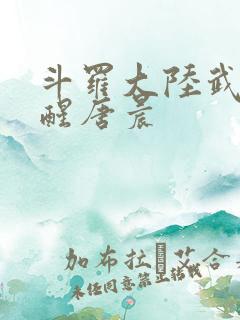 斗罗大陆武魂觉醒唐晨