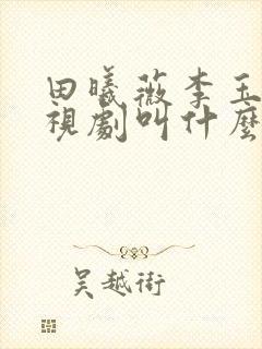 田曦薇李玉湖电视剧叫什么