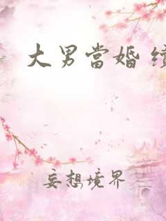 大男当婚 续集