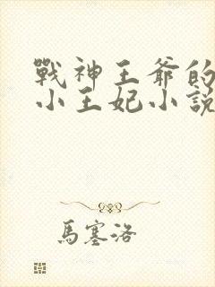 战神王爷的调皮小王妃小说免费阅读