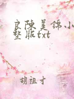 良陈美锦小说完整版txt