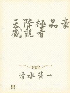 天降极品豪婿短剧观看