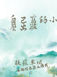 自己写的小说怎么出版