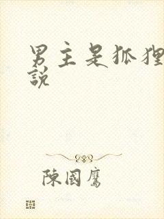 男主是狐狸的小说