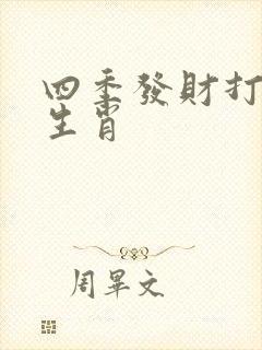 四季发财打一个生肖