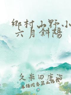 乡村山野小神医 六月斜阳