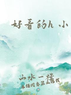 好看的h 小说