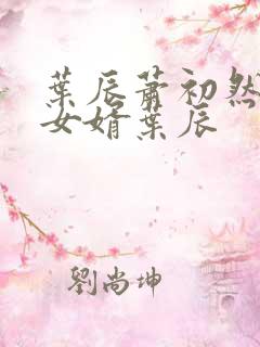 叶辰萧初然上门女婿叶辰