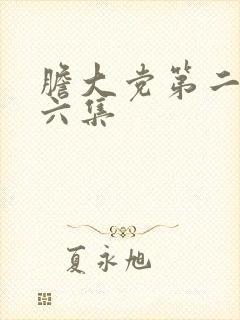 胆大党第二季第六集