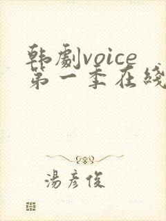 韩剧voice第一季在线观看