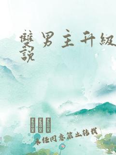 双男主升级流小说