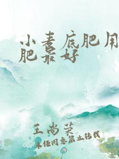 小麦底肥用什么肥最好