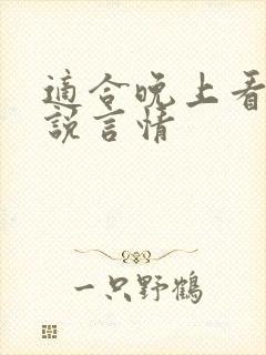 适合晚上看的小说言情