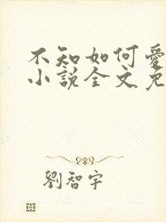 不知如何爱你时小说全文免费阅读
