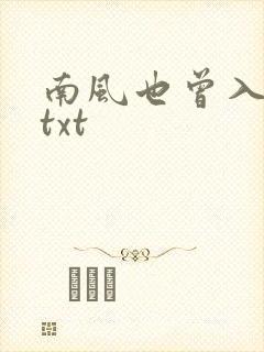 南风也曾入我怀txt