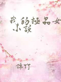 我的极品女老师 小说