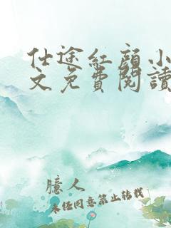 仕途红颜小说全文免费阅读