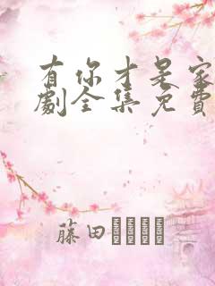 有你才是家电视剧全集免费观看高清