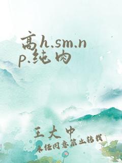 高h.sm.np.纯肉
