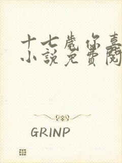十七岁你喜欢谁小说免费阅读全文
