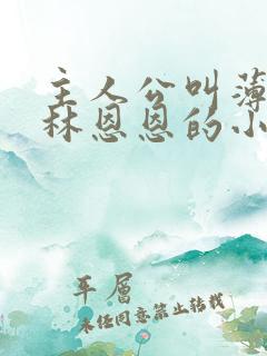 主人公叫薄穆寒林恩恩的小说