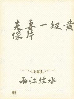 夫妻一级黄色录像片