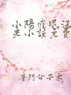 小阳催眠洗脑曹光小说免费阅读