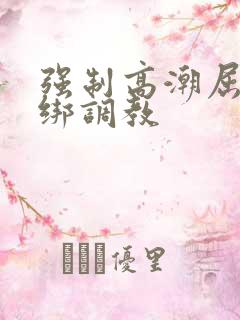 强制高潮屈辱捆绑调教