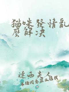猫咪发情乱尿怎么解决