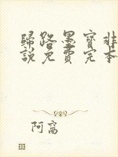 归路墨宝非宝小说免费完本