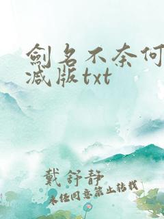 剑名不奈何未删减版txt