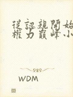 从认亲开始踏上权力巅峰小说读书阁