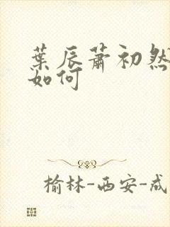 叶辰萧初然结局如何