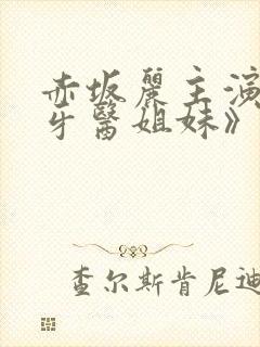 赤坂丽主演的《牙医姐妹》