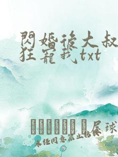 闪婚后大叔每天狂宠我txt
