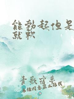能勃起但是一插就软