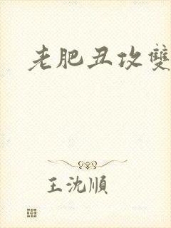 老肥丑攻双性