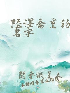 陆泽乔熏的小说名字