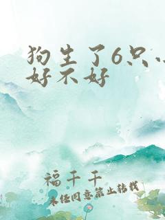 狗生了6只小狗好不好