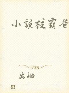小说校霸爸爸