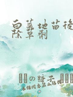 白菜地苗后专用除草剂