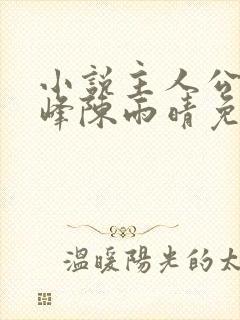 小说主人公林子峰陈雨晴免费阅读