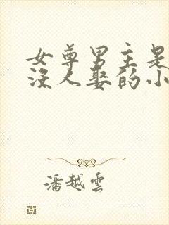 女尊男主是将军没人娶的小说