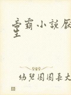 帝霸小说厌笔萧生