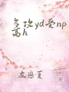 多攻yd受np高h