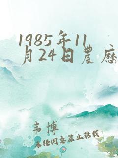 1985年11月24日农历生辰八字