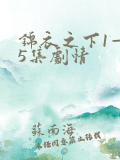 锦衣之下1—55集剧情