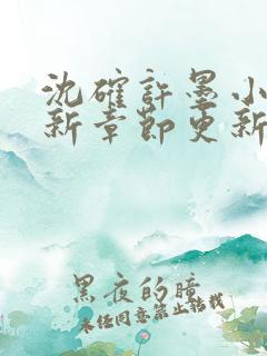 沈确许墨小说最新章节更新