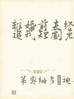 离婚前夫终是想追我短剧免费观看